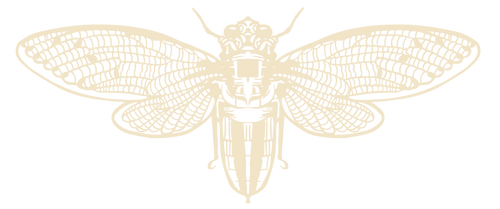 Cicada's Buzz